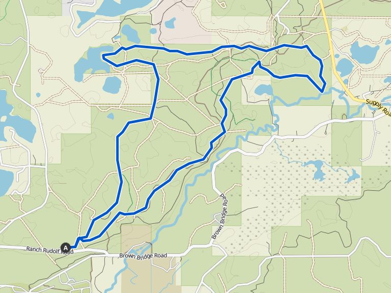 Anello Muncie Lakes Pathway Pere Marquette State Forest escursione